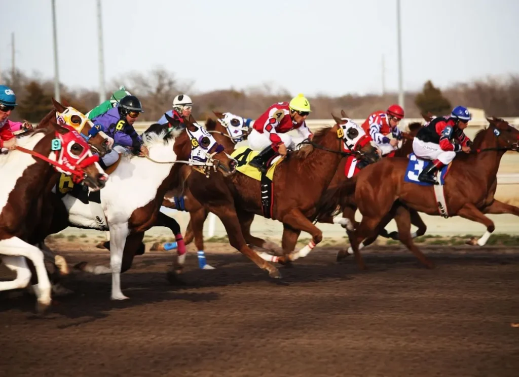 Venezuelan Horse Trainer Leads 2026 Card Player POY Race After January